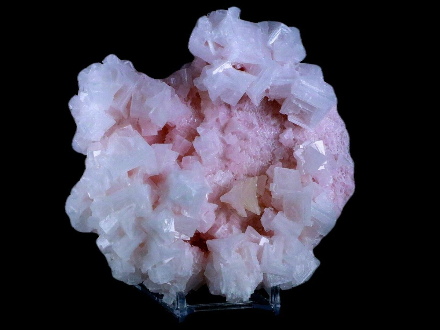 A cluster of pink crystals on a black background.