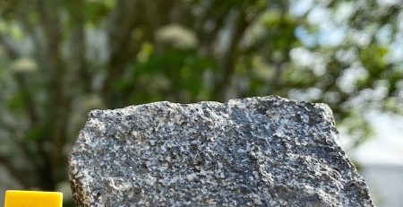 A rock with the letter cm next to it.