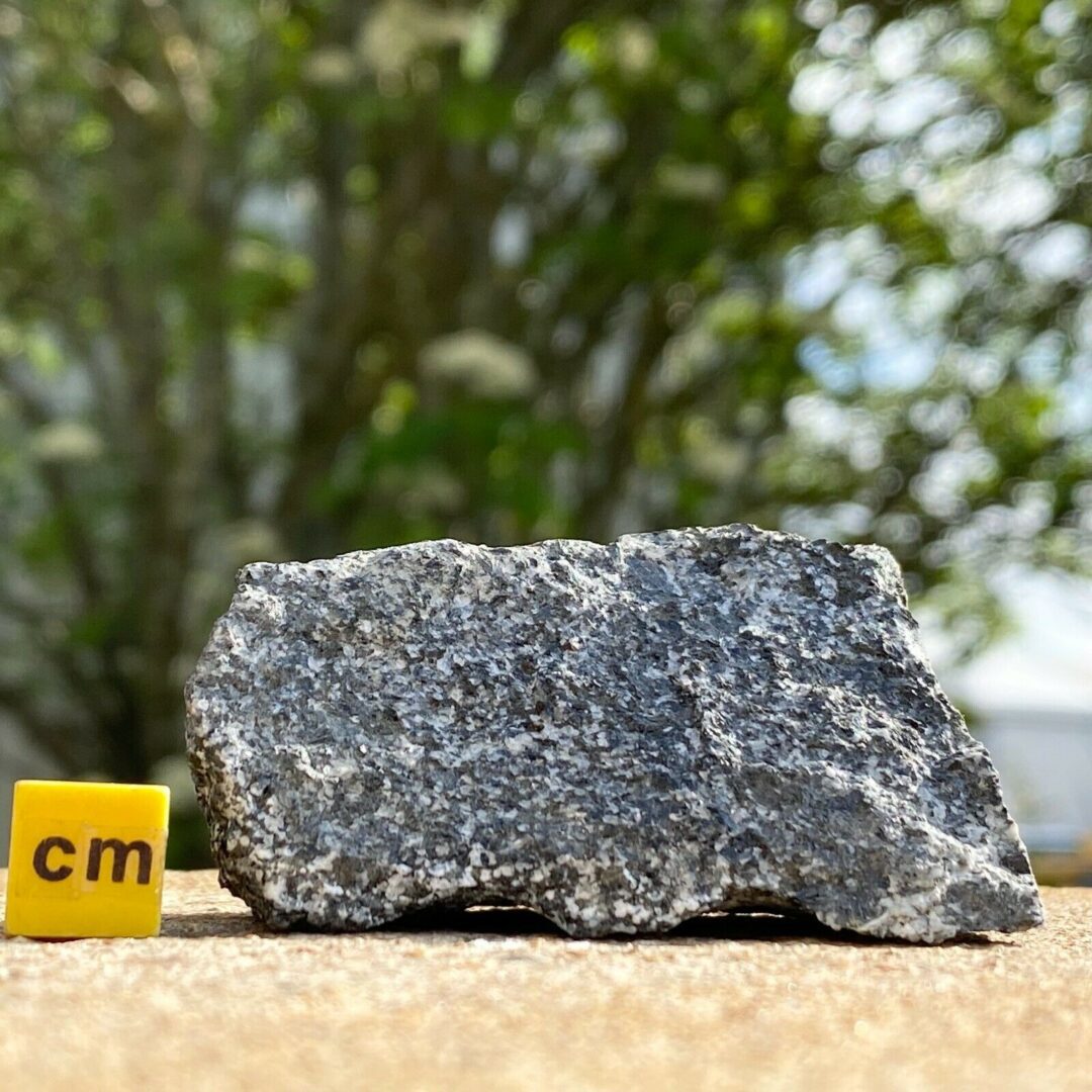 A rock with the letter cm next to it.