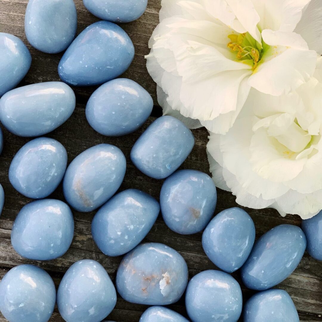 Blue jade pebbles on a wooden table with a flower in color.