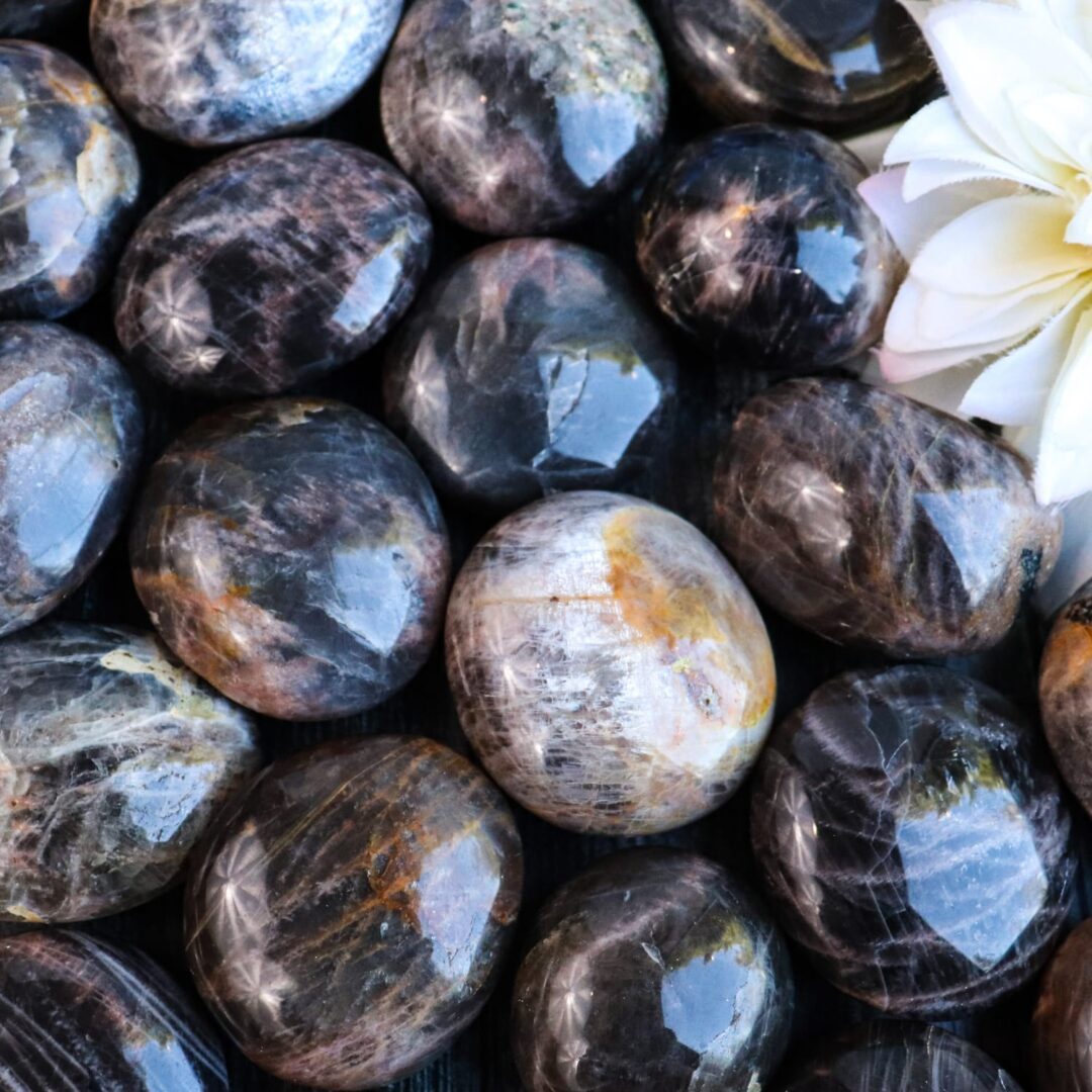 A pile of black and white stones with a flower in the middle.