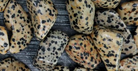 A pile of black and white spotted stones on a wooden surface.