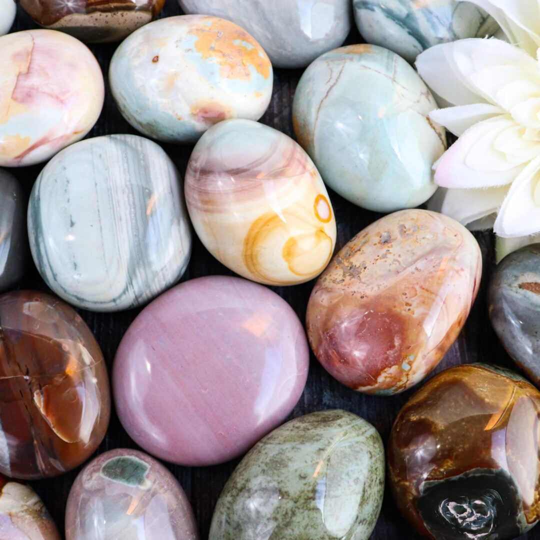 A group of stones with a flower in the middle.