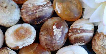 A group of orange and white stones with a flower in the middle.