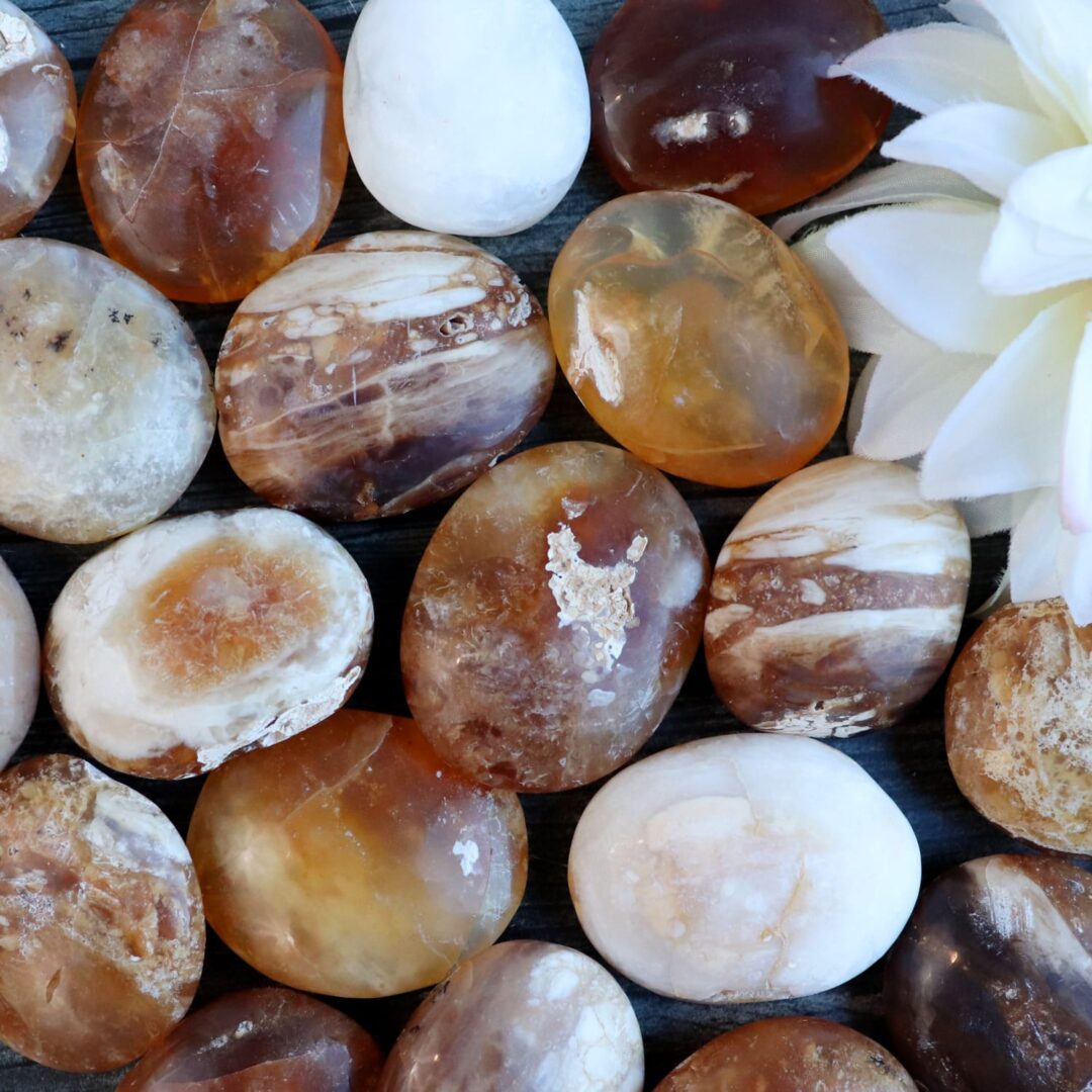 A group of orange and white stones with a flower in the middle.