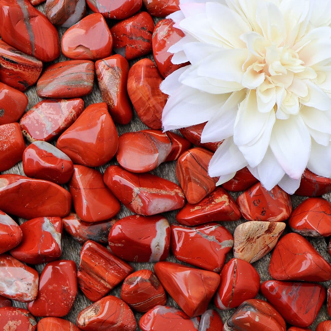 A white flower sits on a pile of red rocks.