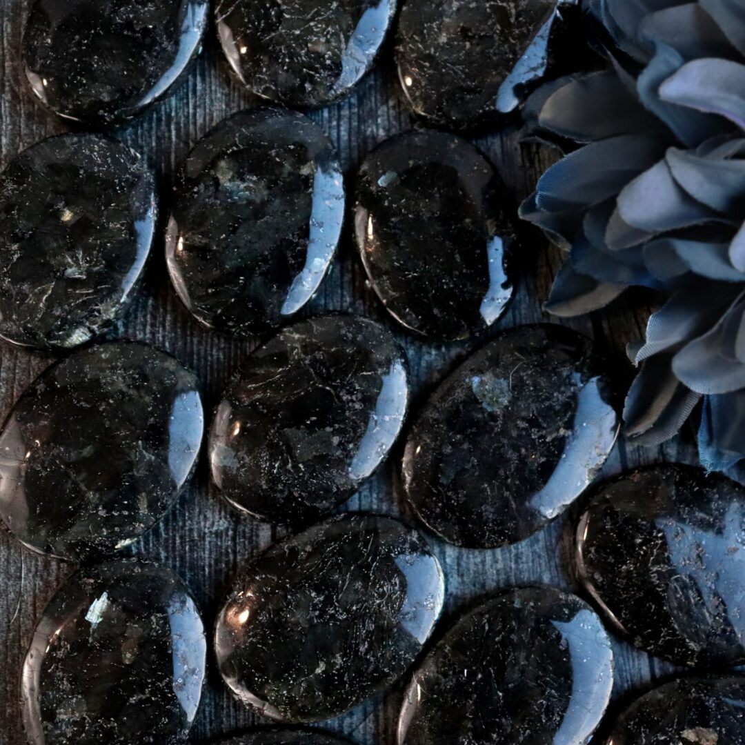 A bunch of black stones with a flower in the middle.