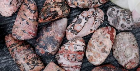 A pile of red and brown stones with a flower in the middle.