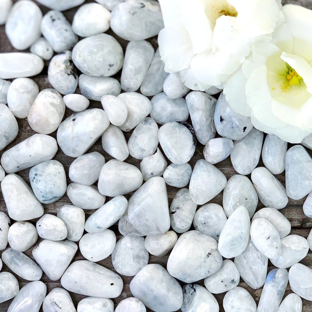 White pebbles with a white flower.