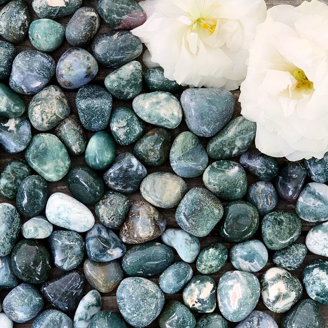 A bunch of green and white stones with a flower in the middle.