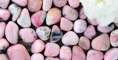 A pile of pink and white pebbles next to a white flower.