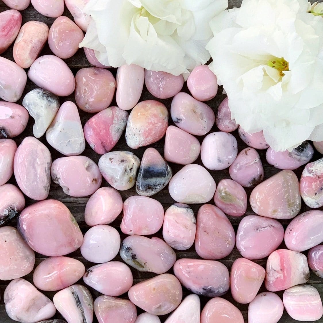 A pile of pink and white pebbles next to a white flower.