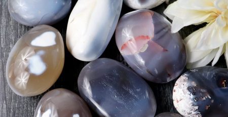 A group of stones with a flower in the middle.