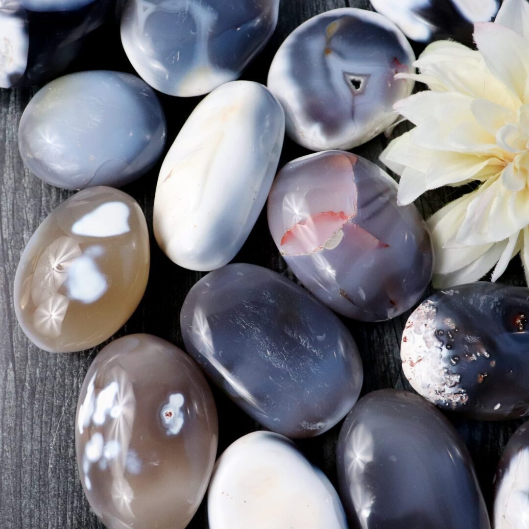 A group of stones with a flower in the middle.