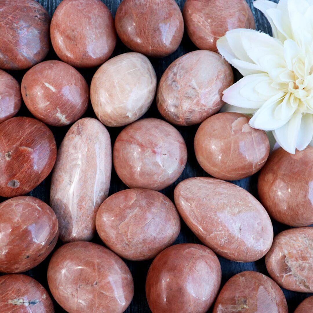 A bunch of red stones with a flower in the middle.