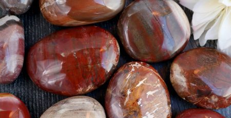 A group of red and brown stones with a flower in the middle.