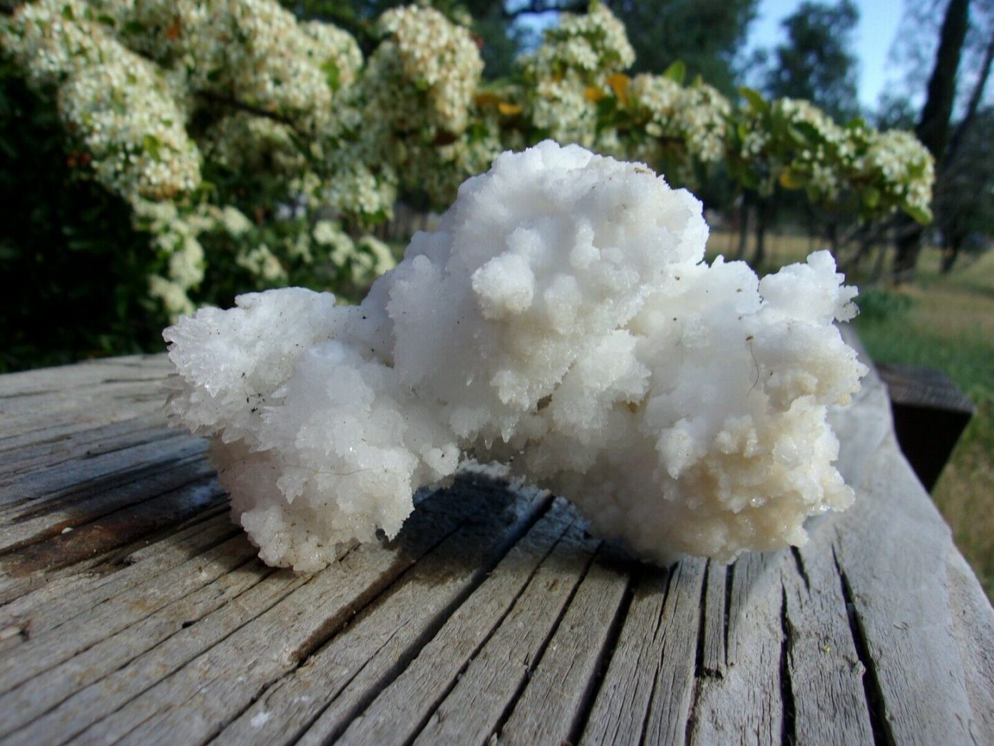 A white rock sitting on a wooden table.