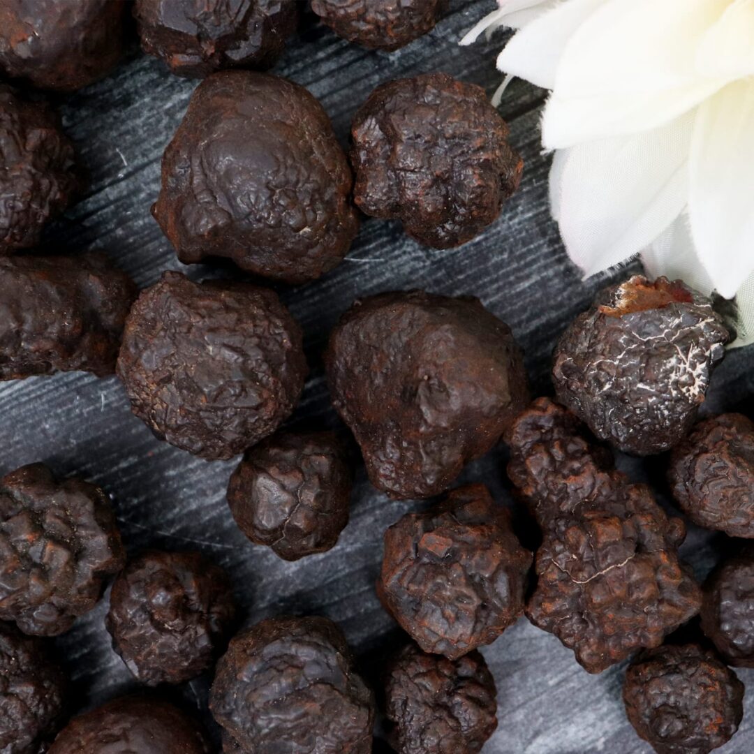 A close up of a bunch of chocolate nuts and a flower.