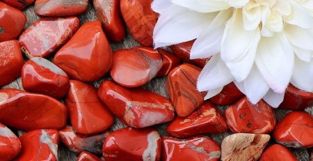 A white flower sits on a pile of red rocks.