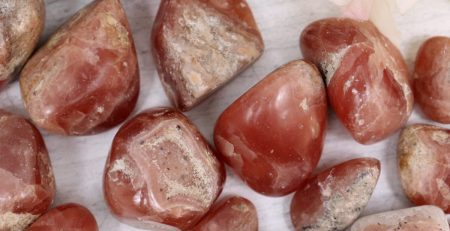 A pile of red jasper stones next to a flower.