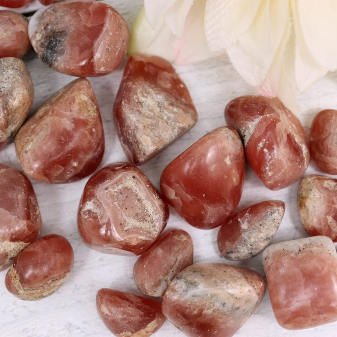 A pile of red jasper stones next to a flower.