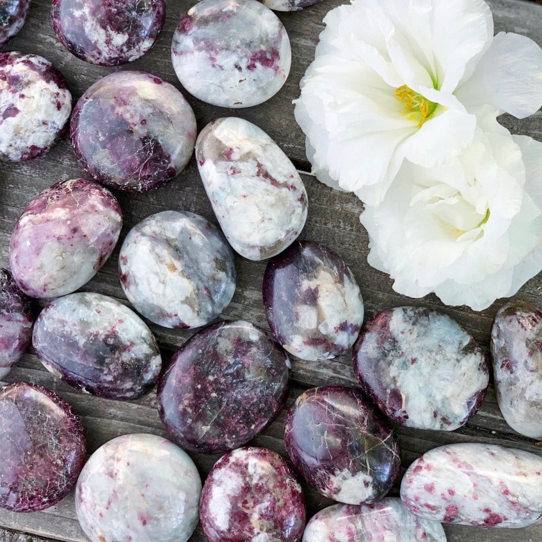 A group of purple and white stones with a white flower.