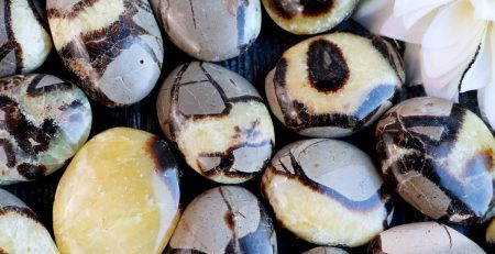 A bunch of yellow and black stones with a flower in the middle.