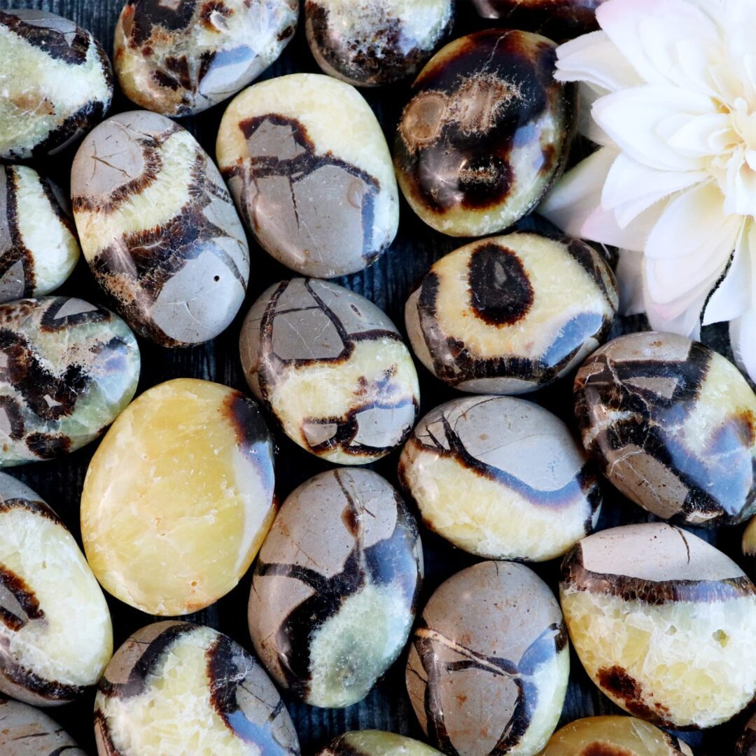 A bunch of yellow and black stones with a flower in the middle.