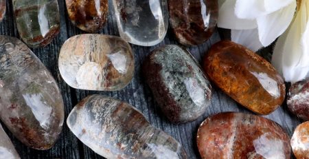 A group of stones with a flower in the middle.