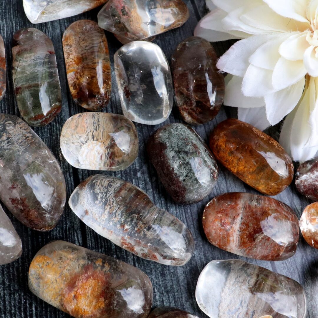 A group of stones with a flower in the middle.