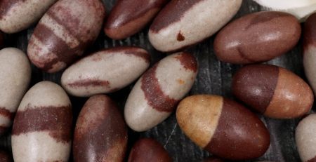 A group of brown and white striped beans on a table.