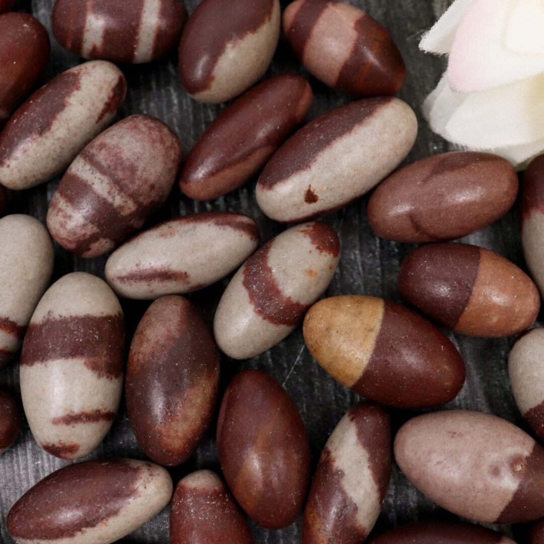 A group of brown and white striped beans on a table.