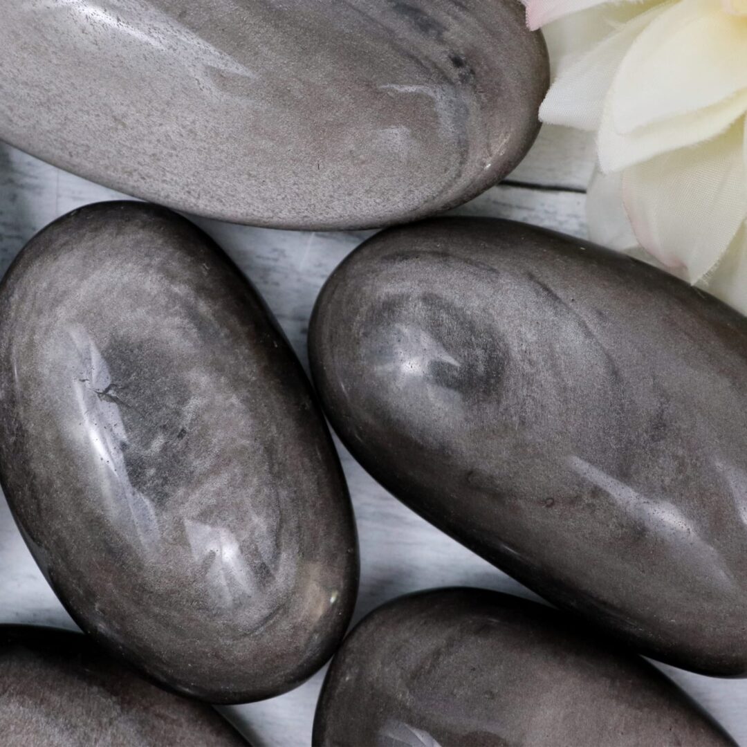 A group of gray stones next to a flower.