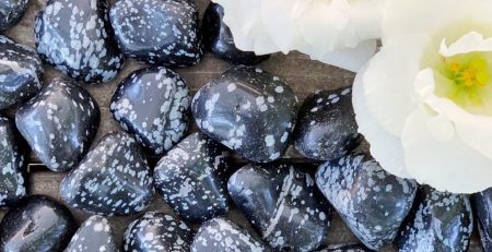 Black and white pebbles with a white flower.