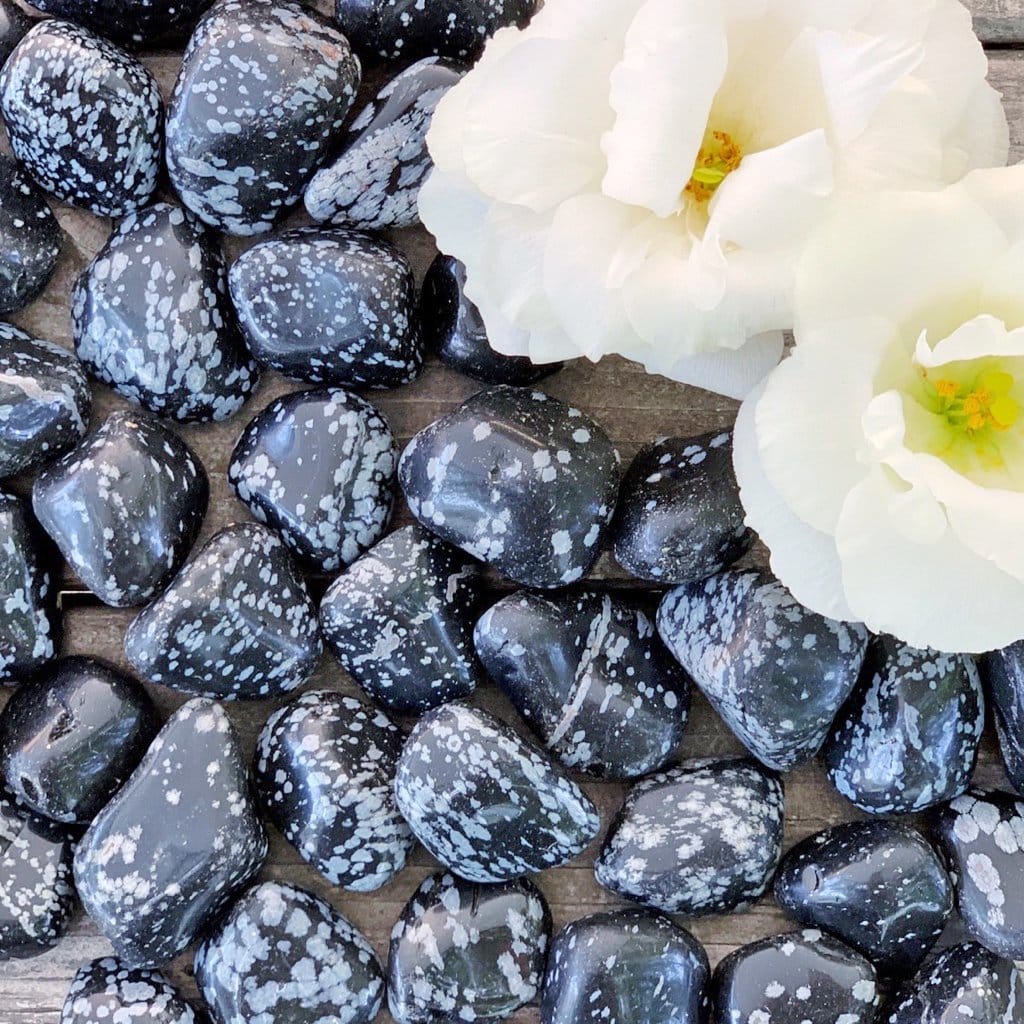 Black and white pebbles with a white flower.