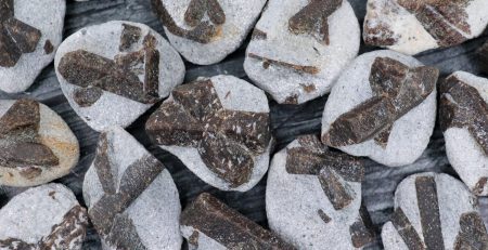 A pile of rocks with fossils on them.