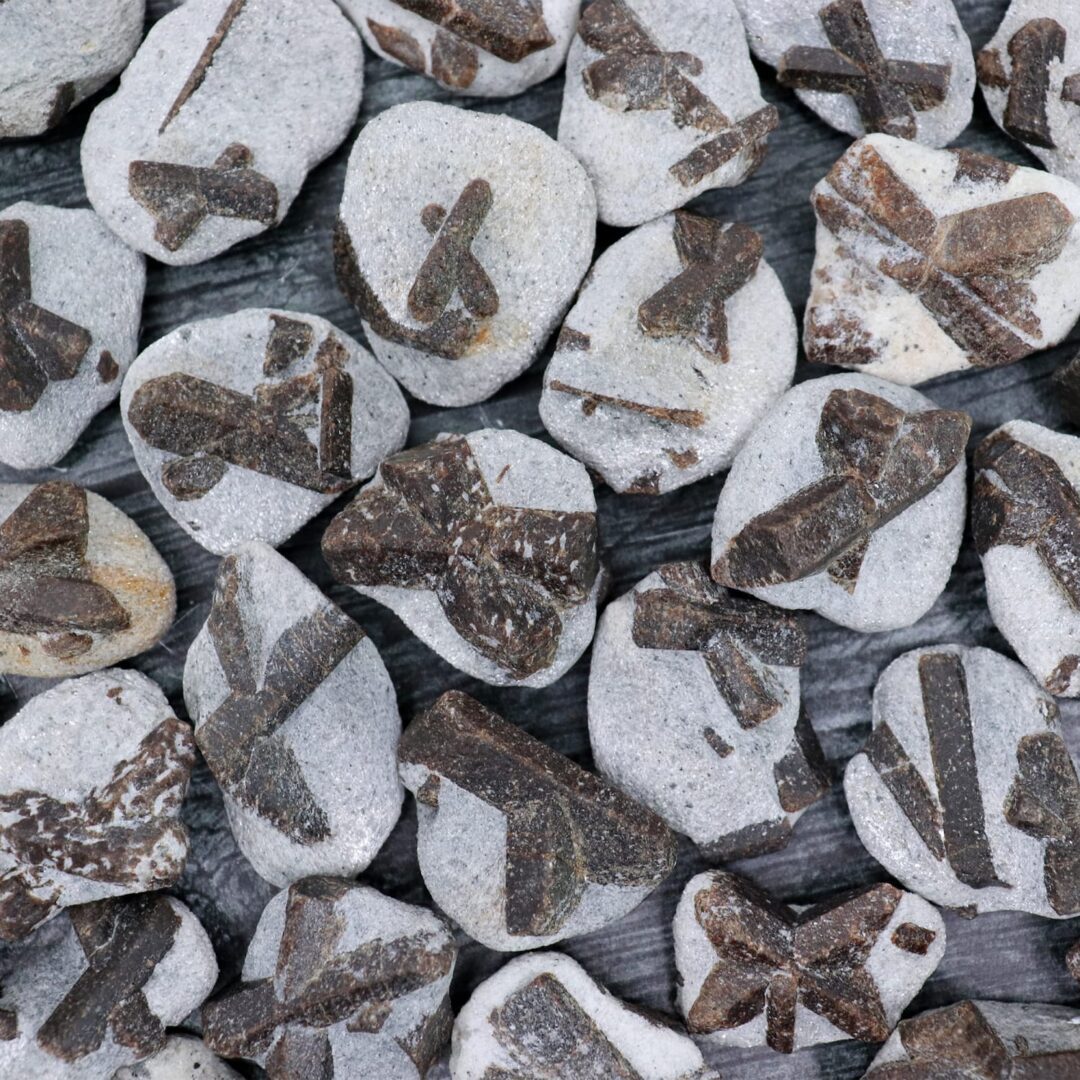 A pile of rocks with fossils on them.