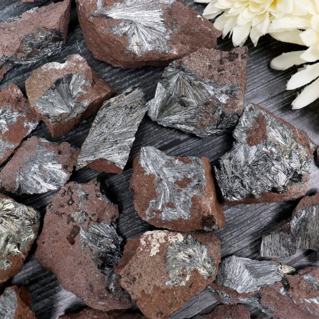 A pile of rocks with a flower in the middle.