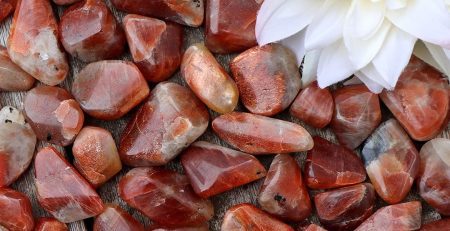 A pile of red and brown stones with a flower in the middle.