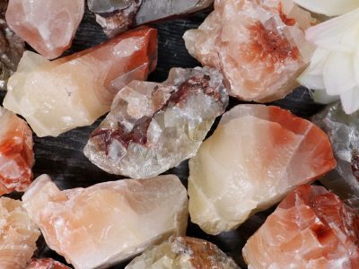A pile of rocks with a flower in the middle.