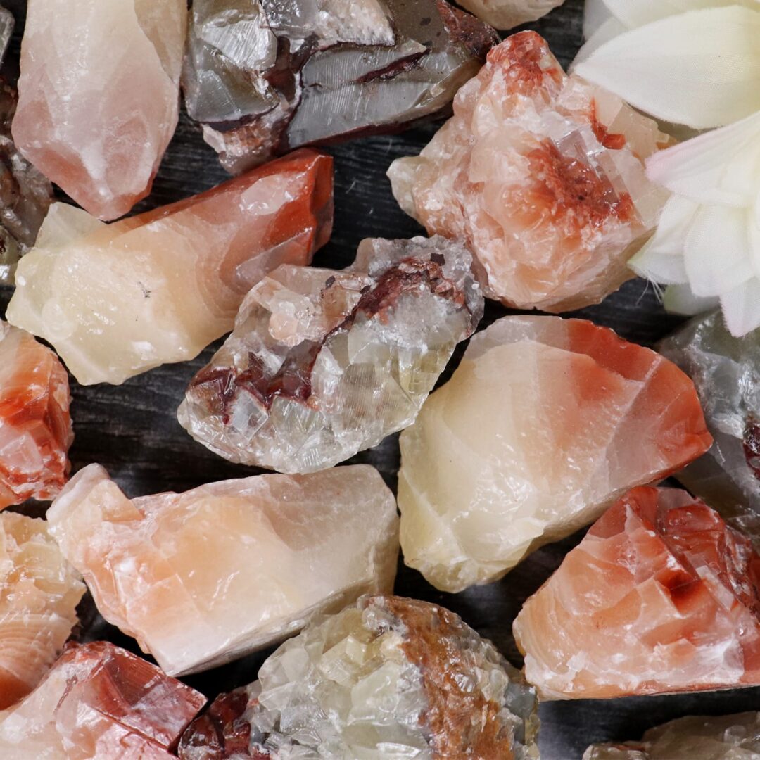 A pile of rocks with a flower in the middle.