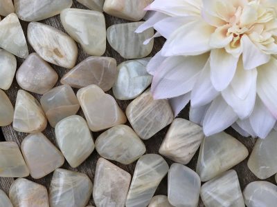 A bunch of white stones with a flower in the middle.