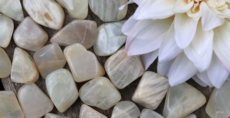 A bunch of white stones with a flower in the middle.