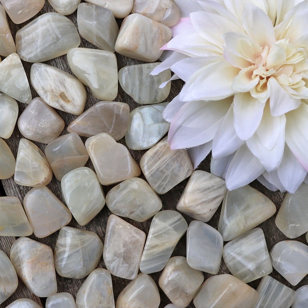 A bunch of white stones with a flower in the middle.