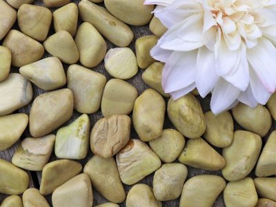 Pebbles and a flower on a wooden surface.