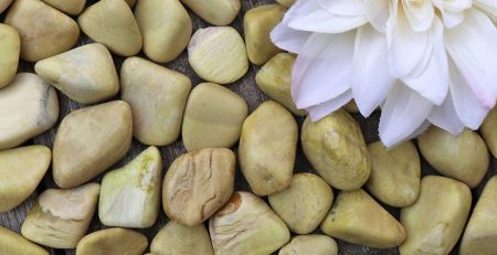 Pebbles and a flower on a wooden surface.