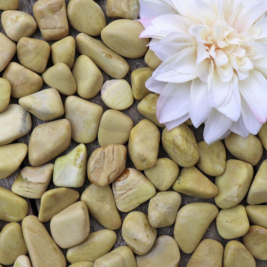 Pebbles and a flower on a wooden surface.