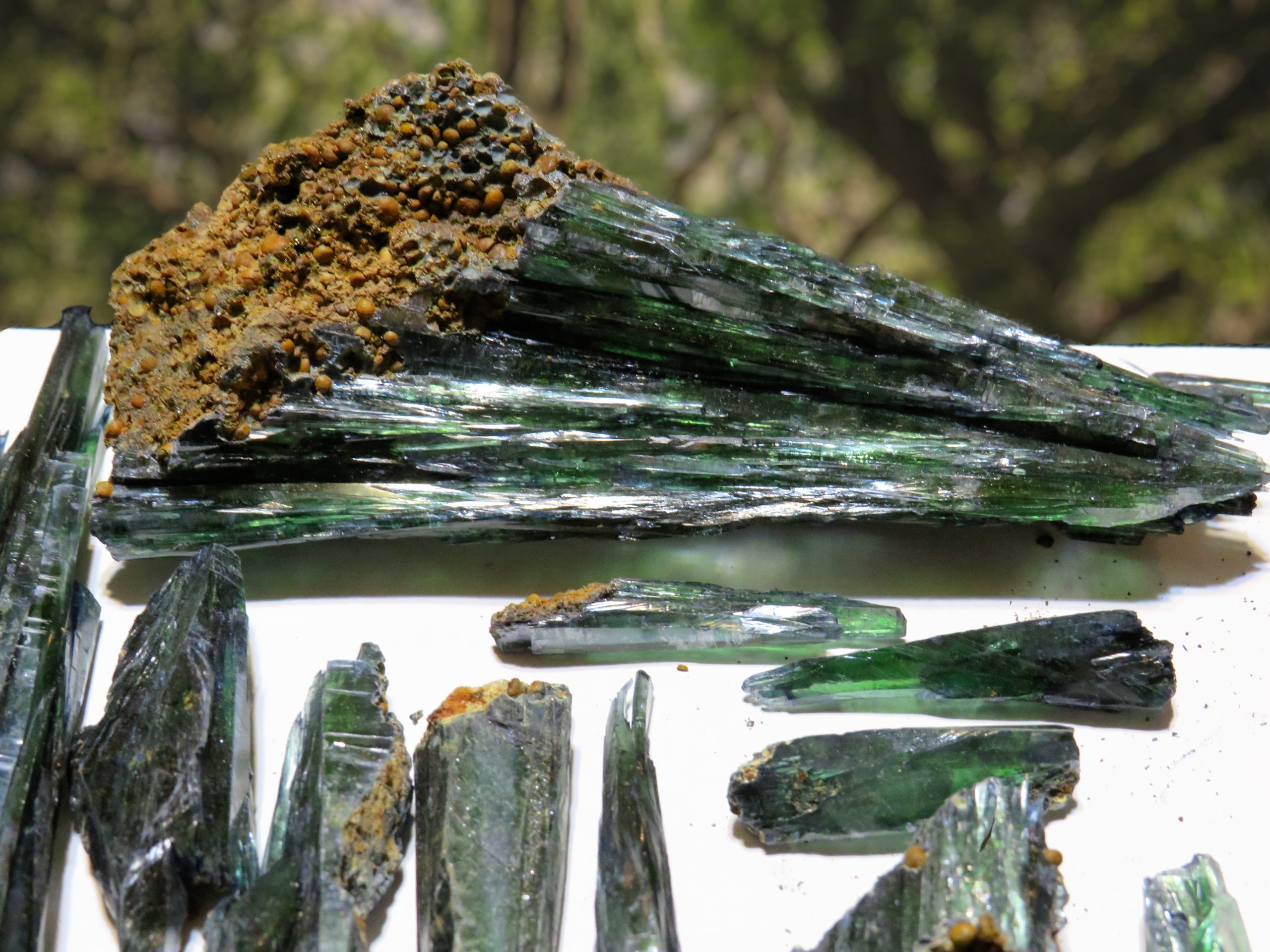 A group of green tourmaline crystals on a table.