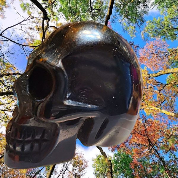 Black skull against fall foliage.