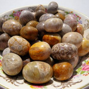 Polished brown and white stones in a dish.